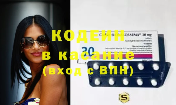 индика Абаза