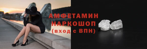 индика Абаза