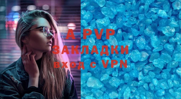 индика Абаза