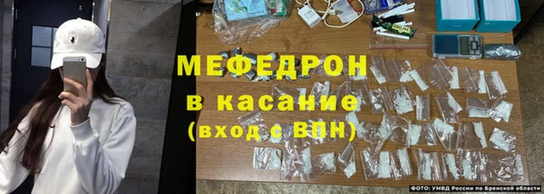 индика Абаза