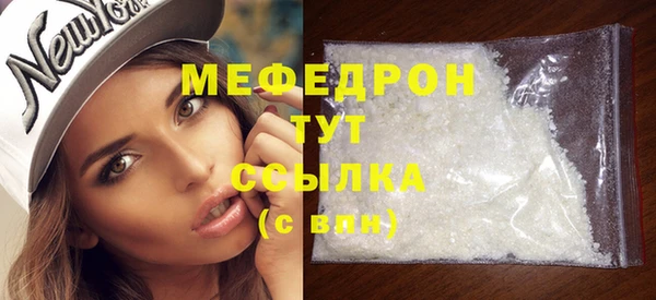 индика Абаза