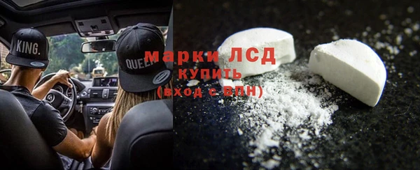 индика Карпинск