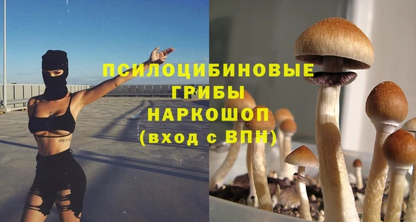 ПСИЛОЦИБИНОВЫЕ ГРИБЫ Абдулино