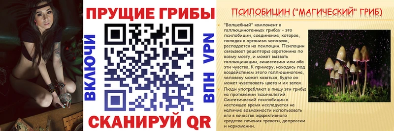 дарнет шоп  Абинск  Галлюциногенные грибы Magic Shrooms 